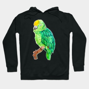 Cute and Sleepy Watercolor Parrot Hoodie